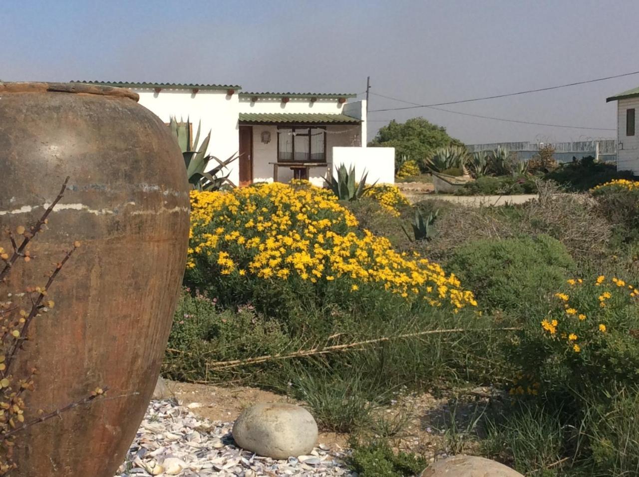 Honnehokke Resort Hondeklipbaai Bagian luar foto