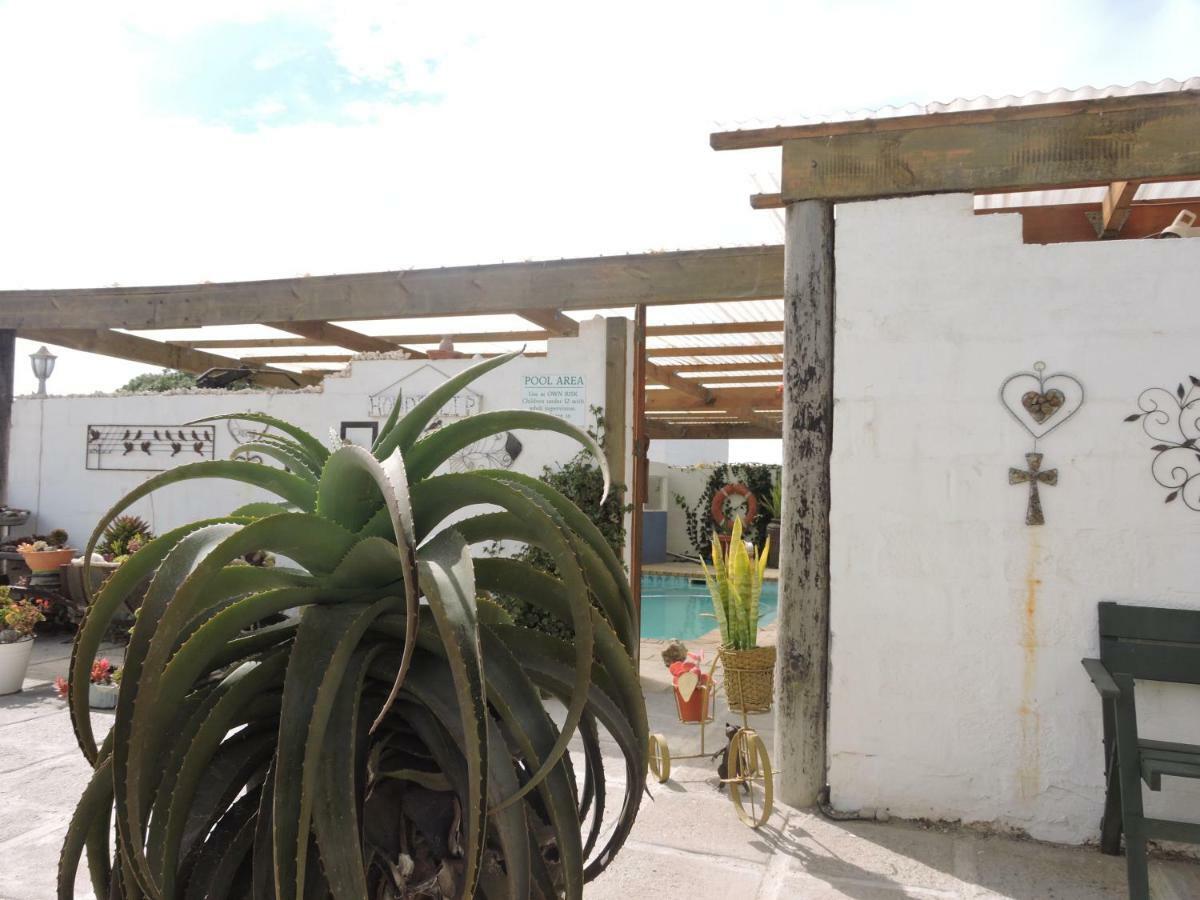 Honnehokke Resort Hondeklipbaai Bagian luar foto